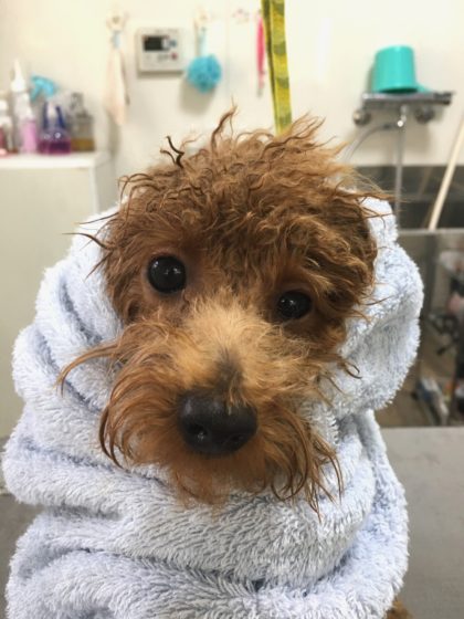 Processed with MOLDIV