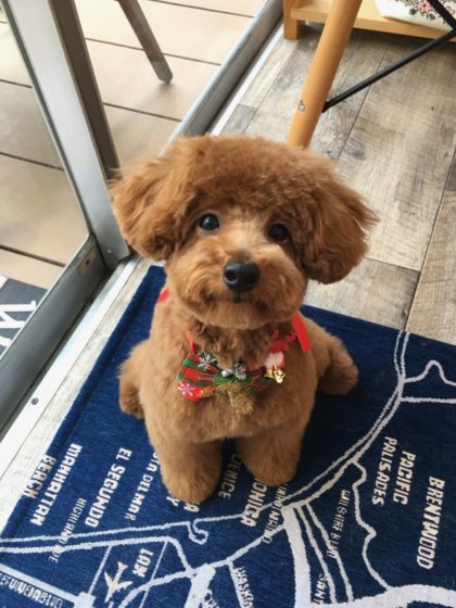 Processed with MOLDIV