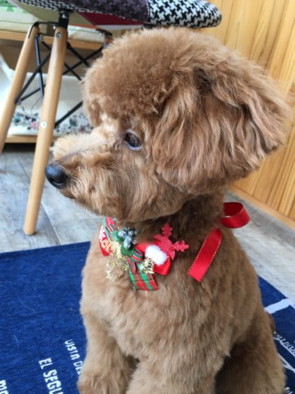 Processed with MOLDIV