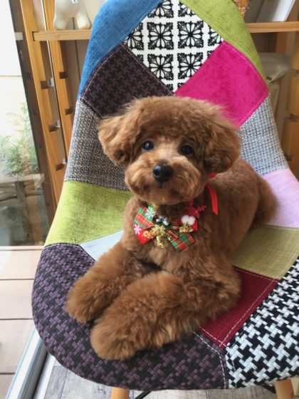 Processed with MOLDIV