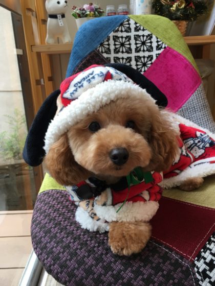 Processed with MOLDIV