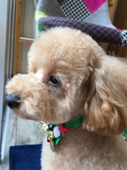 Processed with MOLDIV