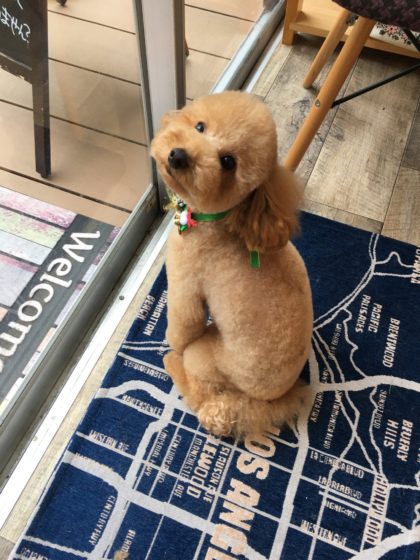 Processed with MOLDIV