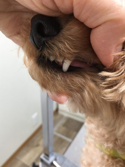 Processed with MOLDIV