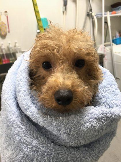 Processed with MOLDIV