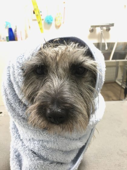 Processed with MOLDIV