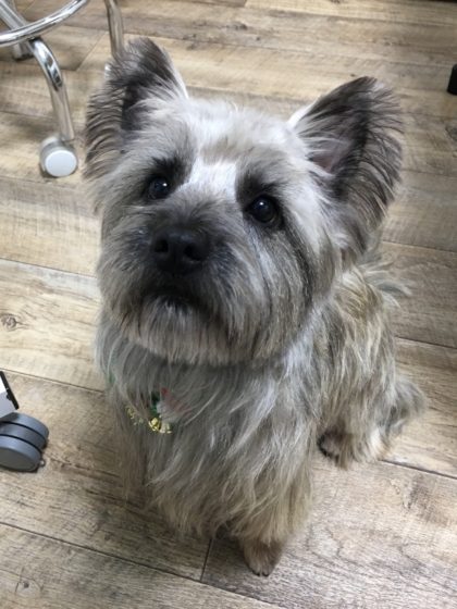 Processed with MOLDIV