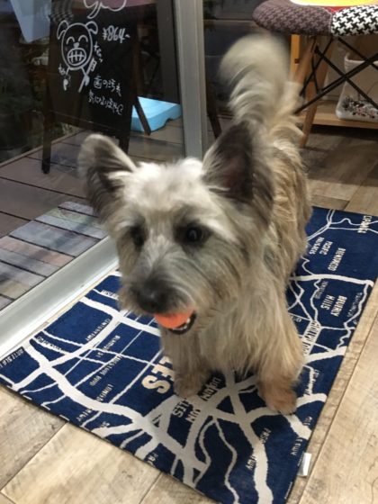 Processed with MOLDIV