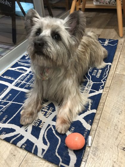 Processed with MOLDIV