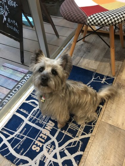 Processed with MOLDIV