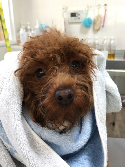 Processed with MOLDIV