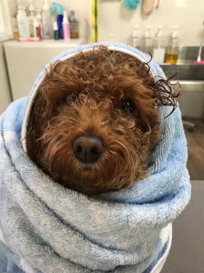 Processed with MOLDIV