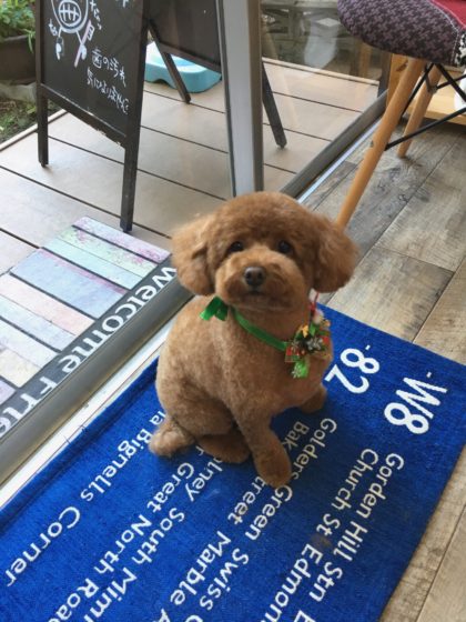 Processed with MOLDIV