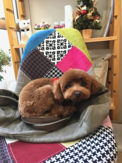 Processed with MOLDIV