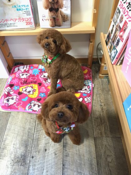 Processed with MOLDIV