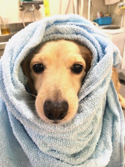 Processed with MOLDIV