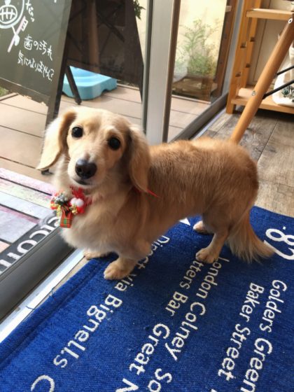 Processed with MOLDIV