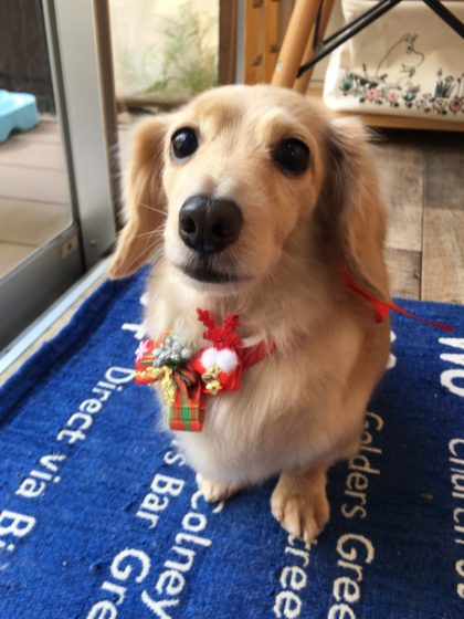 Processed with MOLDIV