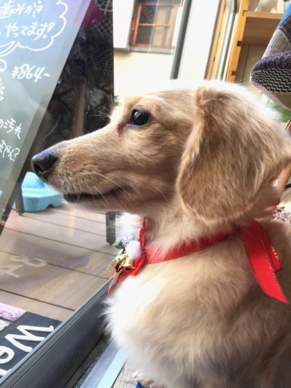 Processed with MOLDIV