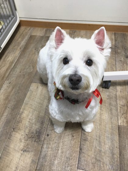 Processed with MOLDIV