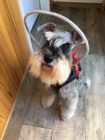 Processed with MOLDIV