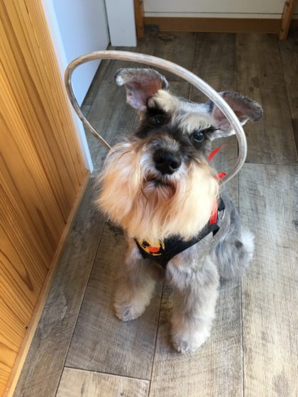 Processed with MOLDIV