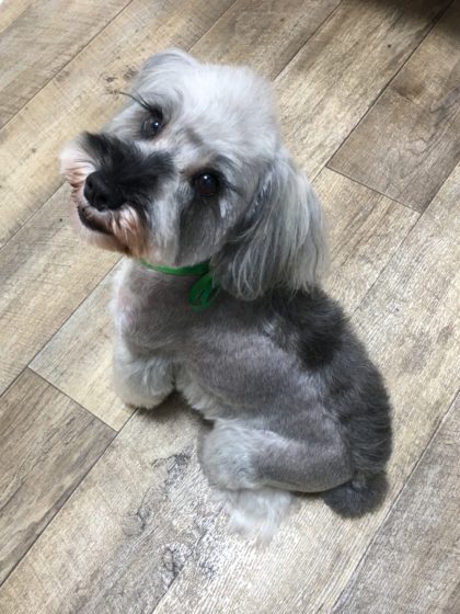 Processed with MOLDIV