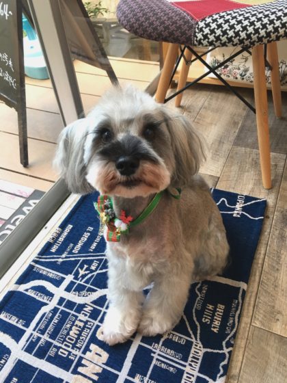 Processed with MOLDIV