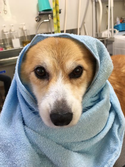 Processed with MOLDIV