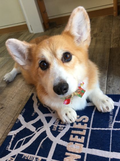 Processed with MOLDIV