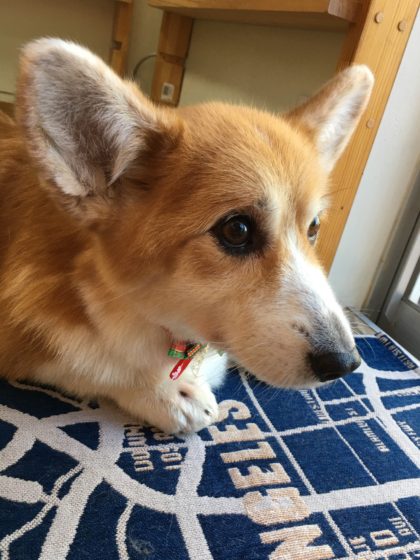 Processed with MOLDIV