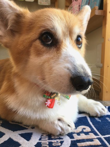 Processed with MOLDIV