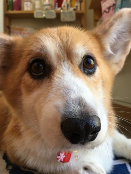 Processed with MOLDIV