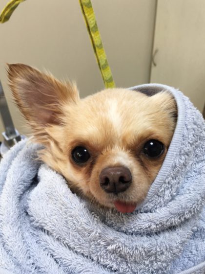 Processed with MOLDIV