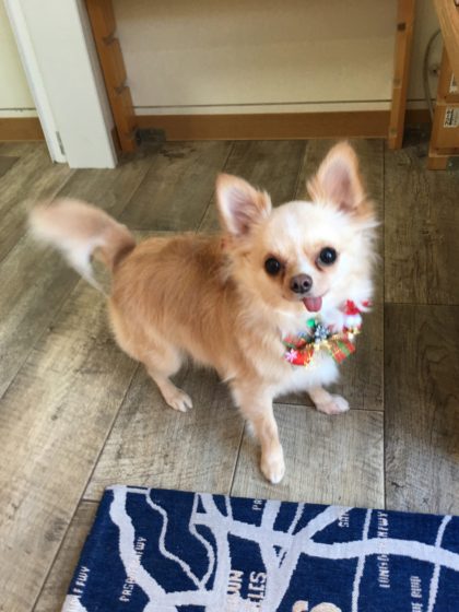 Processed with MOLDIV