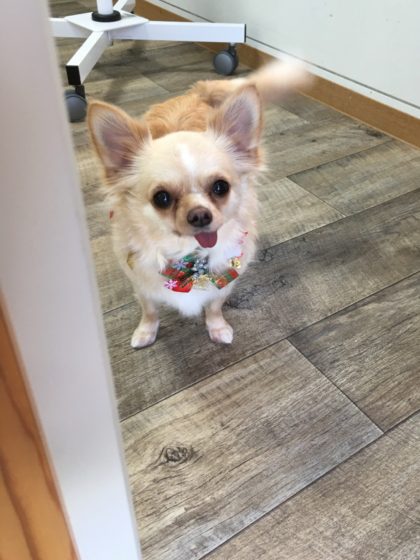 Processed with MOLDIV