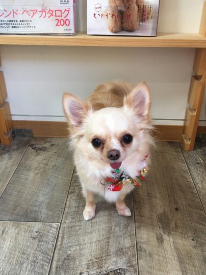 Processed with MOLDIV