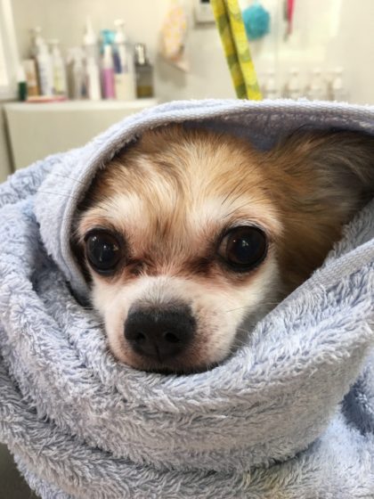 Processed with MOLDIV