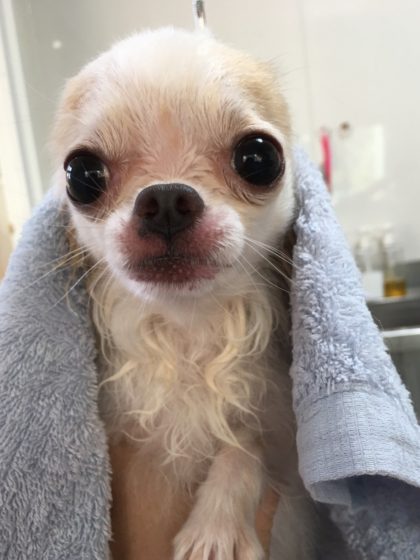 Processed with MOLDIV