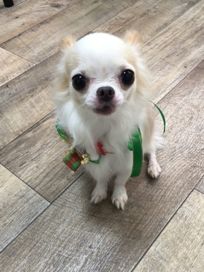 Processed with MOLDIV