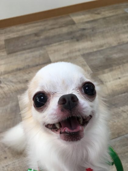 Processed with MOLDIV