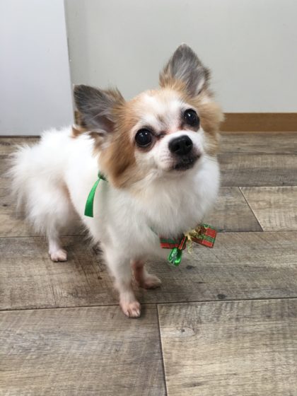 Processed with MOLDIV