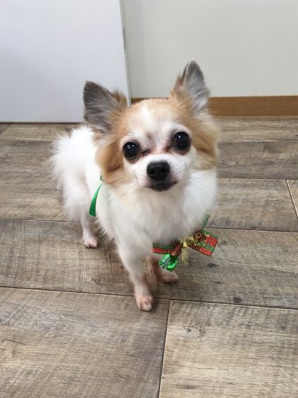 Processed with MOLDIV