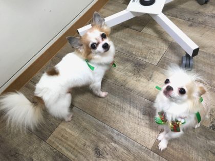 Processed with MOLDIV