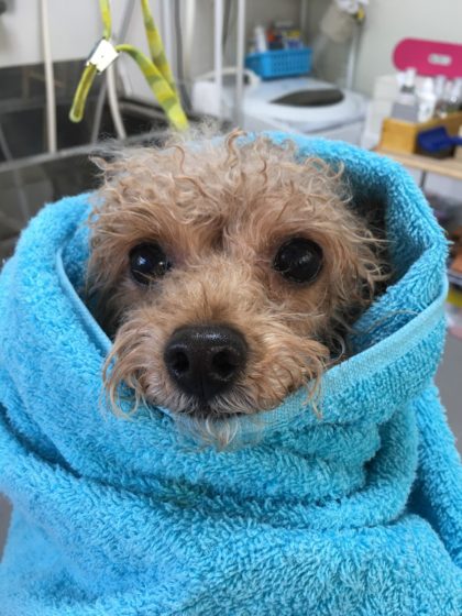 Processed with MOLDIV