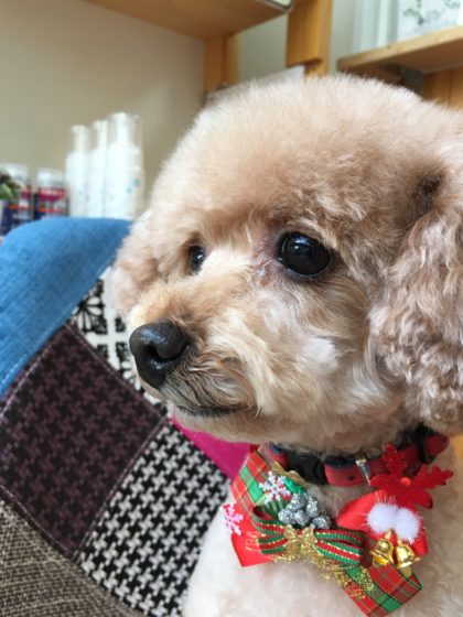 Processed with MOLDIV