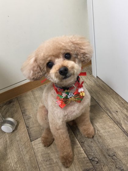 Processed with MOLDIV