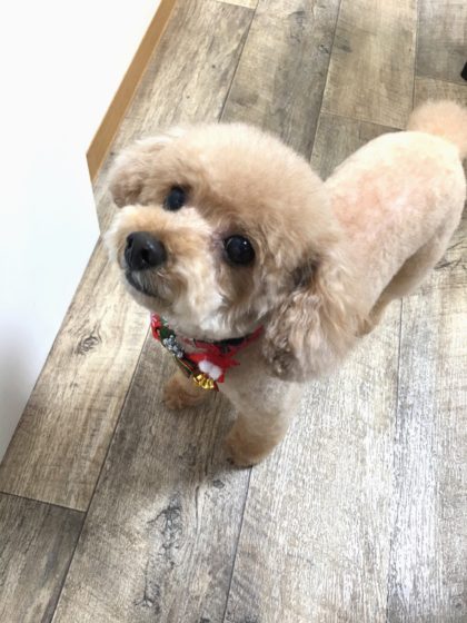 Processed with MOLDIV