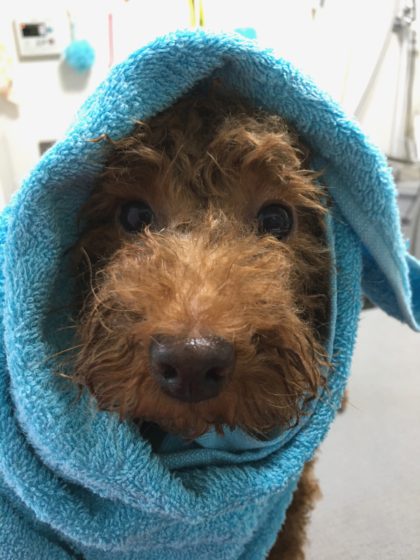 Processed with MOLDIV