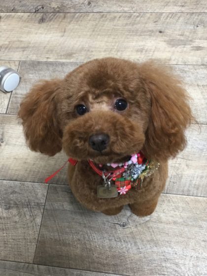 Processed with MOLDIV